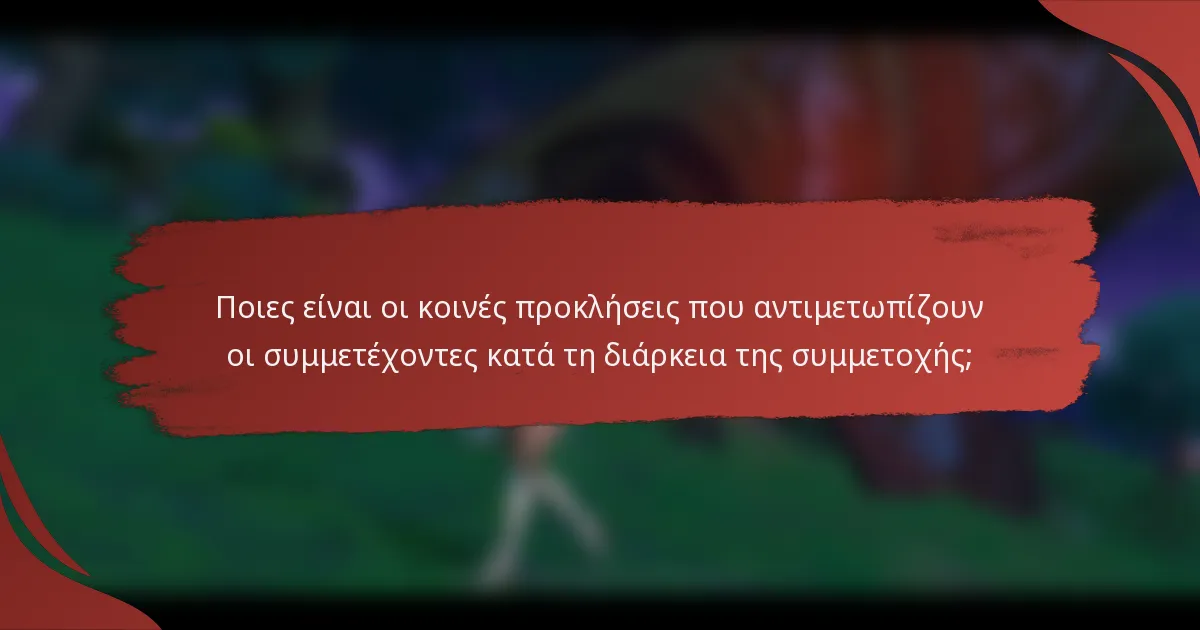 Ποιες είναι οι κοινές προκλήσεις που αντιμετωπίζουν οι συμμετέχοντες κατά τη διάρκεια της συμμετοχής;